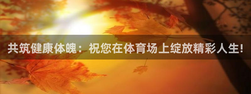 球王会体育