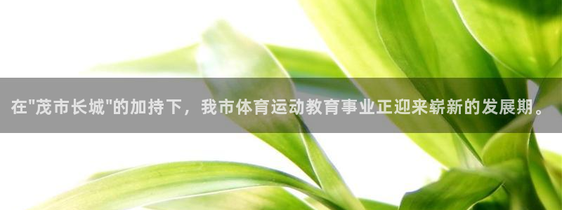 球王会体育
