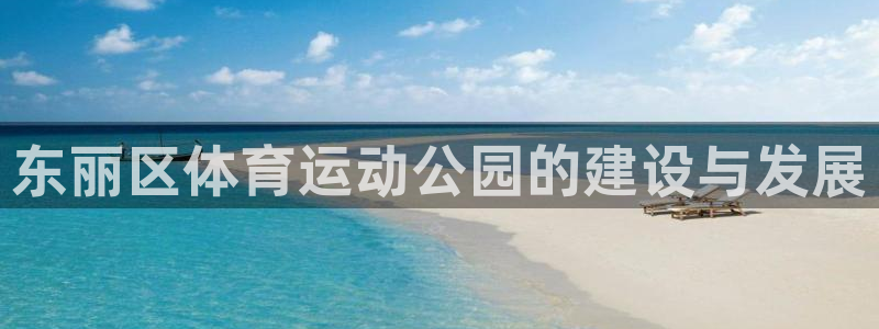 球王会体育
