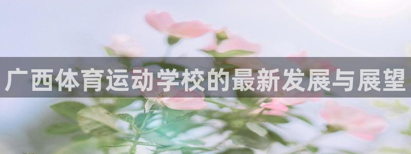 球王会体育