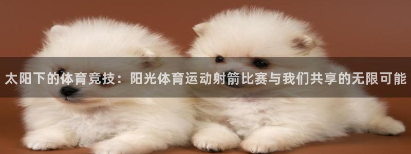 球王会体育