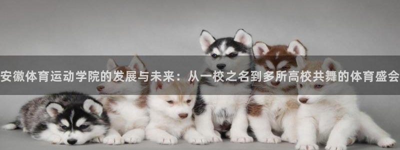 球王会体育