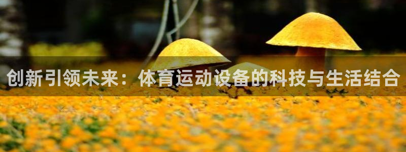球王会体育