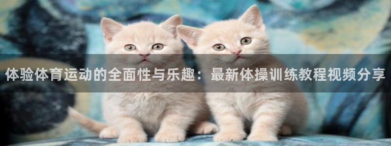 球王会体育