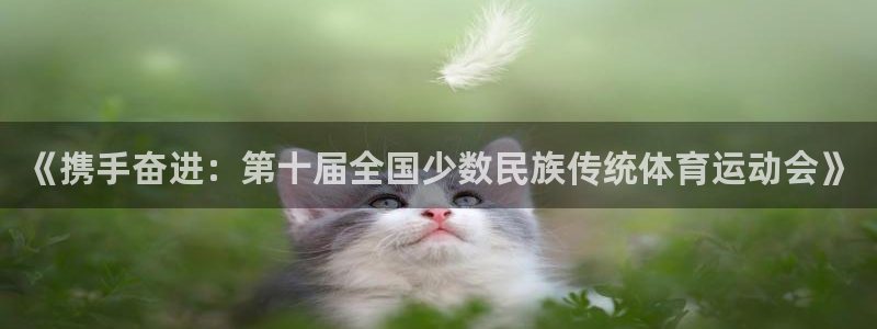 球王会体育