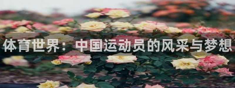 球王会体育