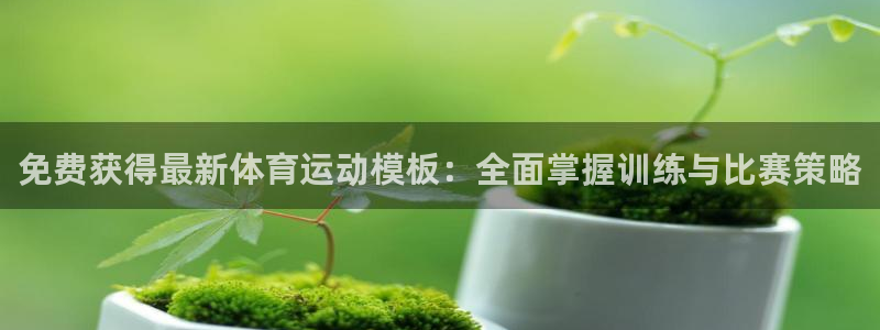 球王会体育