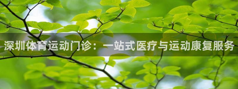 球王会体育