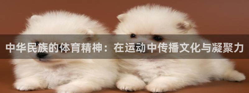 球王会体育