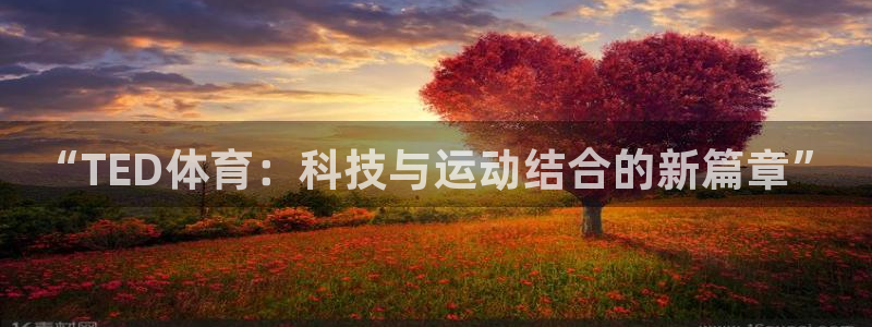 球王会体育