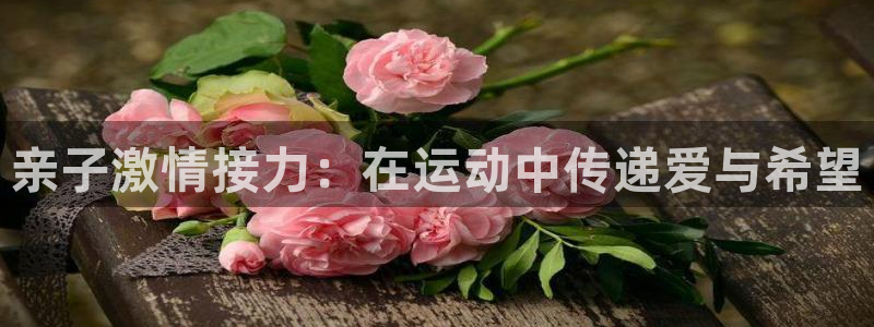 球王会体育