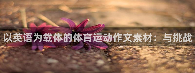 球王会体育